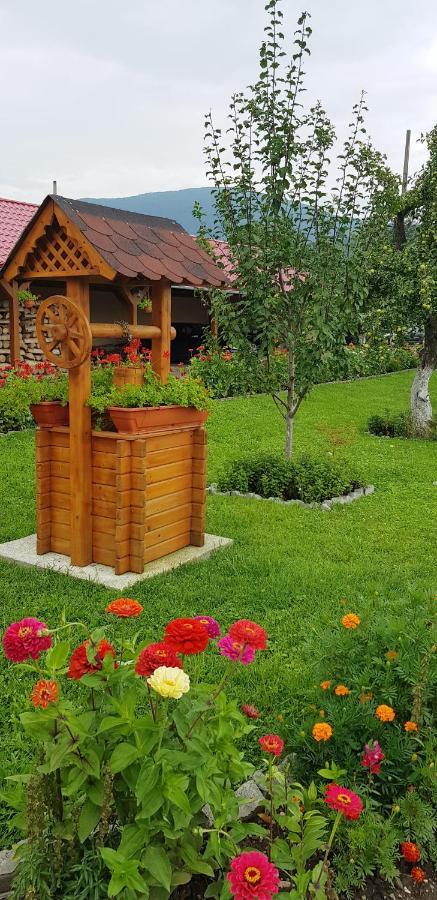 Cazare La Troita Hotel Кодлеа Екстериор снимка